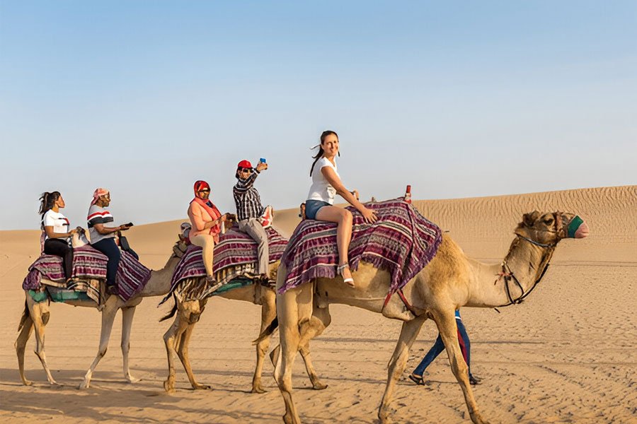 Morning Desert Safari